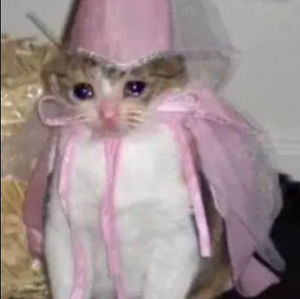 Meet your Posher, Hungrycat231